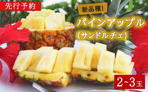 【2026年7月～8月頃配送】今帰仁産パインアップル（サンド