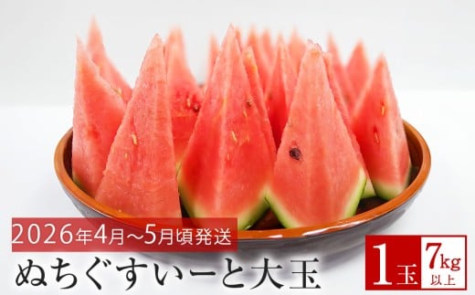 【JAおきなわ】厳選すいか！ぬちぐすいーと　大玉７kg以上