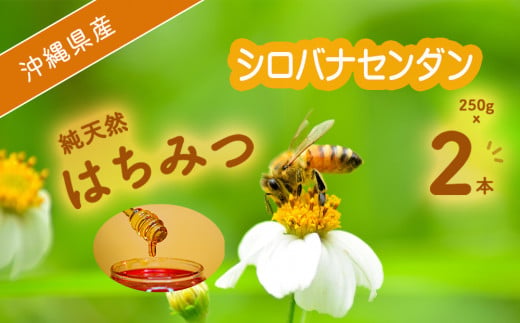沖縄県産　純天然はちみつ（シロバナセンダン草　2本入り