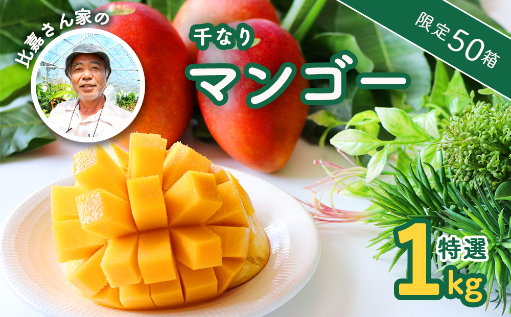 【限定50箱】比嘉さん家の千なりマンゴー(特選・1kg)【2026年