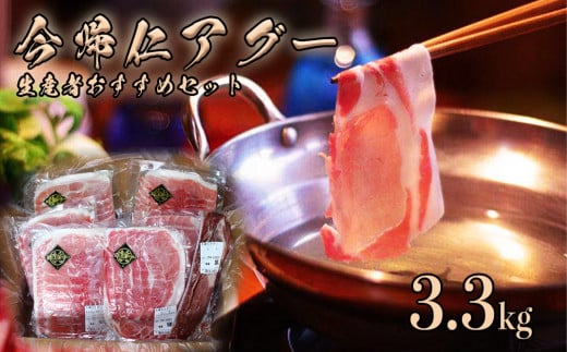 令和7年1月発送　産直「今帰仁アグー」生産者おすすめセッ