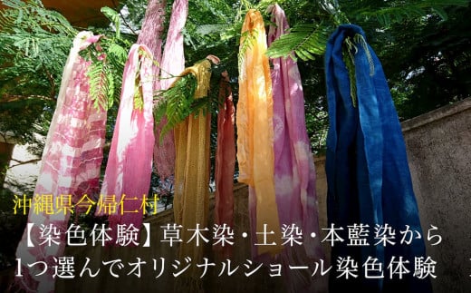 【染色体験】草木染・土染・本藍染から1つ選んでオリジナ