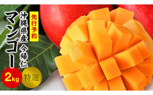 今帰仁マンゴー特選2kg以上【先行予約】【2026年6月中旬～8