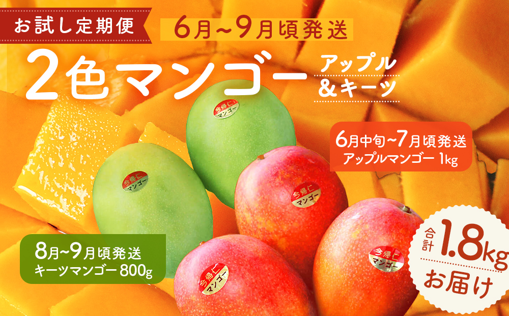 【お試し定期便】今帰仁2色マンゴー（赤・緑）【先行予約