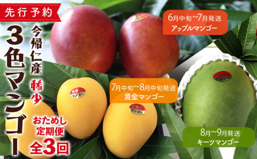 【お試し定期便】稀少3色マンゴー食べ比べセット（赤・黄