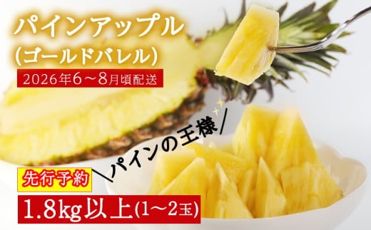 【2026年6～8月頃配送】今帰仁産パインアップル（ゴールド