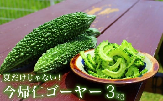 今帰仁ゴーヤー3kg【10月～4月頃お届け】