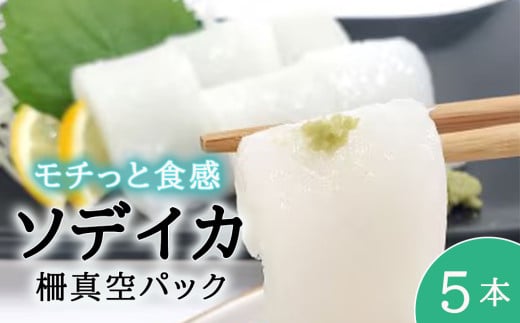 今帰仁産ソデイカ柵真空パック（200ｇ～250ｇ）×5本