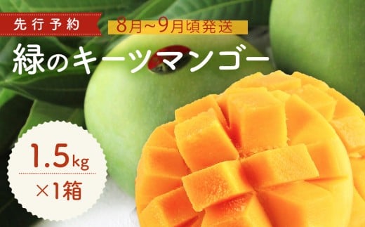 緑のキーツマンゴー1.5kg【2026年8月～9月頃発送】生産者直送