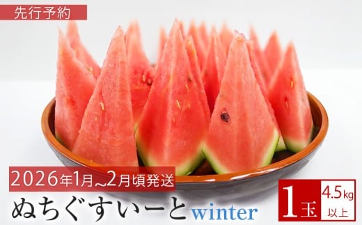 先行予約【JAおきなわ】厳選すいか！ぬちぐすいーとwinter