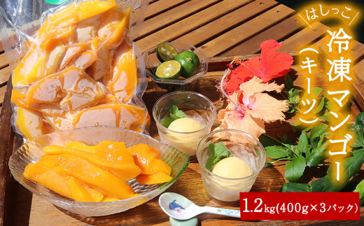 はしっこ冷凍マンゴー（キーツ）1.2kg（400g×3）【訳ありお