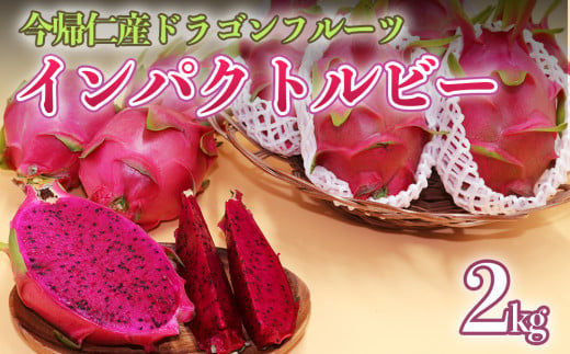 【限定50個】今帰仁産ドラゴンフルーツ「インパクトルビー