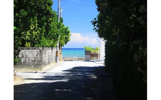 歴史と自然を体感！（今泊集落・フクギ並木の散策コース