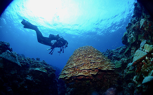 優雅に遊ぶFUNダイビング 2ボート2名様 ※ライセンス保持者