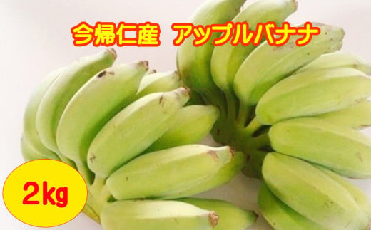 今帰仁村産アップルバナナ（農薬不使用）2kg