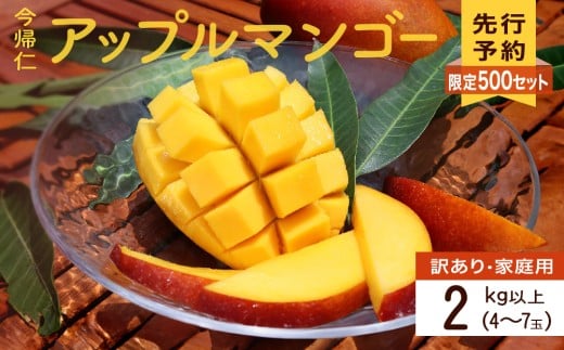 【訳あり・家庭用】【生産者応援】限定500セット　今帰仁