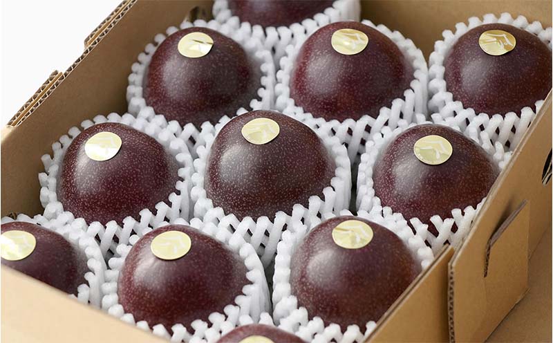 【2025年発送】山パ農園 パッションフルーツ 2箱（約2kg） 南国 沖縄 おきなわ 果実 フルーツ 青果 期間限定 先行予約 数量限定 旬 人気 おすすめ 贈答 プレゼント ギフト 贈り物 カクテル デザート 取り寄せ ジュース