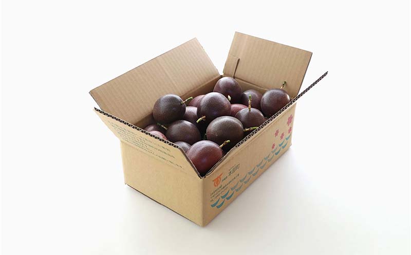 【2025年発送】山パ農園　パッションフルーツ　家庭用 （約1.5kg） 南国 沖縄 おきなわ 果実 フルーツ 青果 期間限定 先行予約 数量限定 旬 人気 おすすめ 贈答 プレゼント ギフト 贈り物 カクテル デザート 取り寄せ ジュース