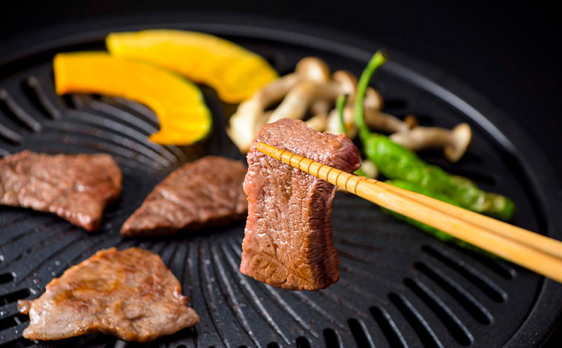 もとぶ牛カルビ焼肉（ギフト用）500ｇ 県産和牛 黒毛和牛 国産 牛肉 牛 ブランド 和牛 人気 オススメ おすすめ グルメ 贅沢 高級 4等級以上 お取り寄せ 贈答用 美ら海 冷凍 沖縄 本部町