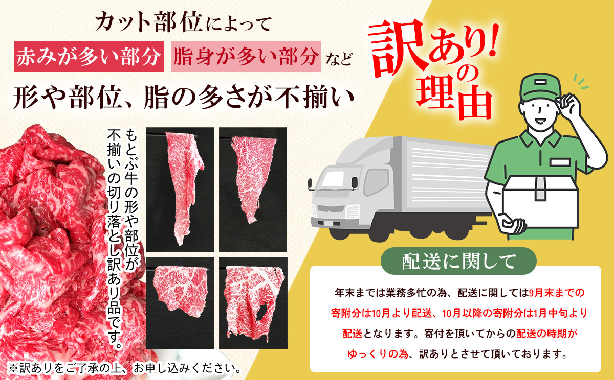 もとぶ牧場　訳あり　もとぶ牛切り落とし　1kg（500g×2P） 切落し すき焼き 煮込み カレー 沖縄 オススメ おすすめ 人気 ブランド 和牛 県産和牛 黒毛和牛 牛肉 牛 小分け 便利 わけあり ワケアリ グルメ 1000ｇ