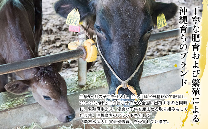 【定期便3回】【もとぶ牛】もとぶ牛 牛丼の素 ギフトセット(180g×4食) 県産和牛 黒毛和牛 国産 牛肉 美ら海 ブランド 和牛 加工品 人気 オススメ おすすめ グルメ 贅沢 高級 おかず お取り寄せ 常温 沖縄 本部町 定期便3回