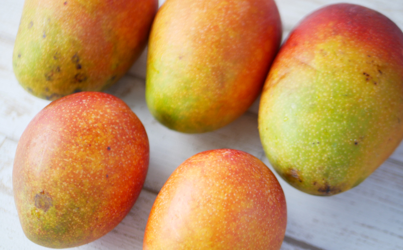 【2026年夏発送】もとぶ町産マンゴー（家庭用）約2kg詰め フルーツ 果物 期間限定 数量限定 先行予約 南国 プレゼント お土産 おみやげ ギフト くだもの 沖縄 おきなわ 青果 デザート おすすめ 人気 冷蔵 夏 スイーツ