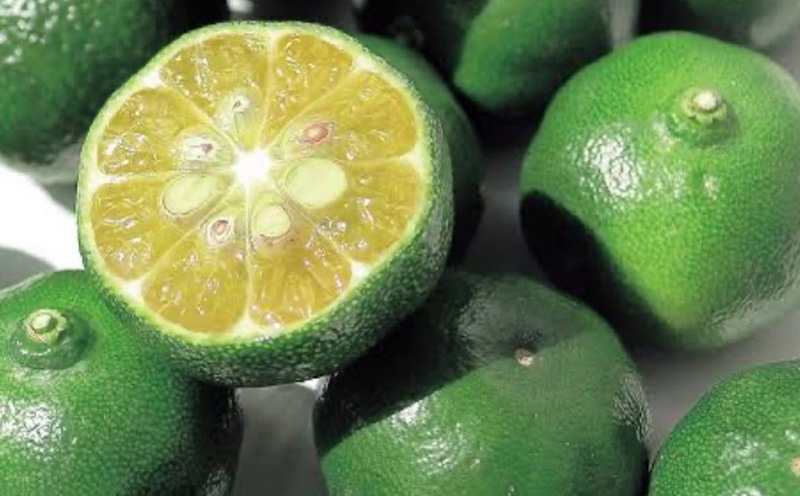 沖縄県産青切りシークヮーサー100％果汁（6本セット） 沖縄県 沖縄 青果 果実 フレッシュ 瓶 シークァーサー 本部町 本部 ギフト プレゼント 贈答 贈り物 おすすめ 人気 敬老の日 お土産 健康 ジュース 飲み物