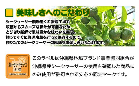 オキナワシークヮーサー100%ビター　2本セット 沖縄 おきなわ 本部町 ドリンク 飲料 シークワーサー 沖縄県産 ジュース おすすめ 人気 贈答 ギフト プレゼント ふるさと納税 美ら海 敬老の日 父の日 母の日 健康 予防