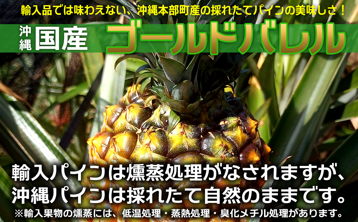 【2026年発送】先行予約 ゴールドバレル 3玉 （約4.0kg） パイナップル 甘い ジューシー デザート 高級 フルーツ 家族で楽しめる 子供 果物 取り寄せ 旬 おすすめ ギフト 人気 家庭用 贈答用 母の日 スナックパイン 期間限定 パイン 沖縄