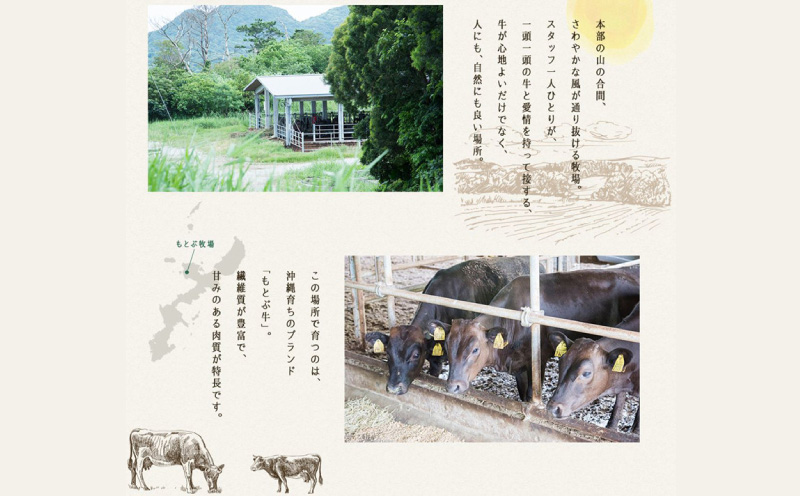 もとぶ牧場ハンバーグギフトセット（120g×6パック） 県産和牛 黒毛和牛 国産 牛肉 肉 加工品 肉汁 洋食 人気 オススメ おすすめ グルメ 贅沢 高級 お取り寄せ 贈答用 美ら海 冷凍 沖縄 本部町