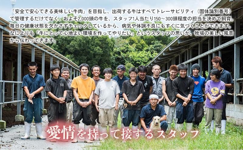 もとぶ牛ロースステーキ(自宅用)400g 県産和牛 黒毛和牛 国産 牛肉 ステーキ肉 牛 ブランド 和牛 人気 オススメ おすすめ グルメ 贅沢 200g 3等級以上 贈答用 美ら海 冷凍 沖縄 本部町