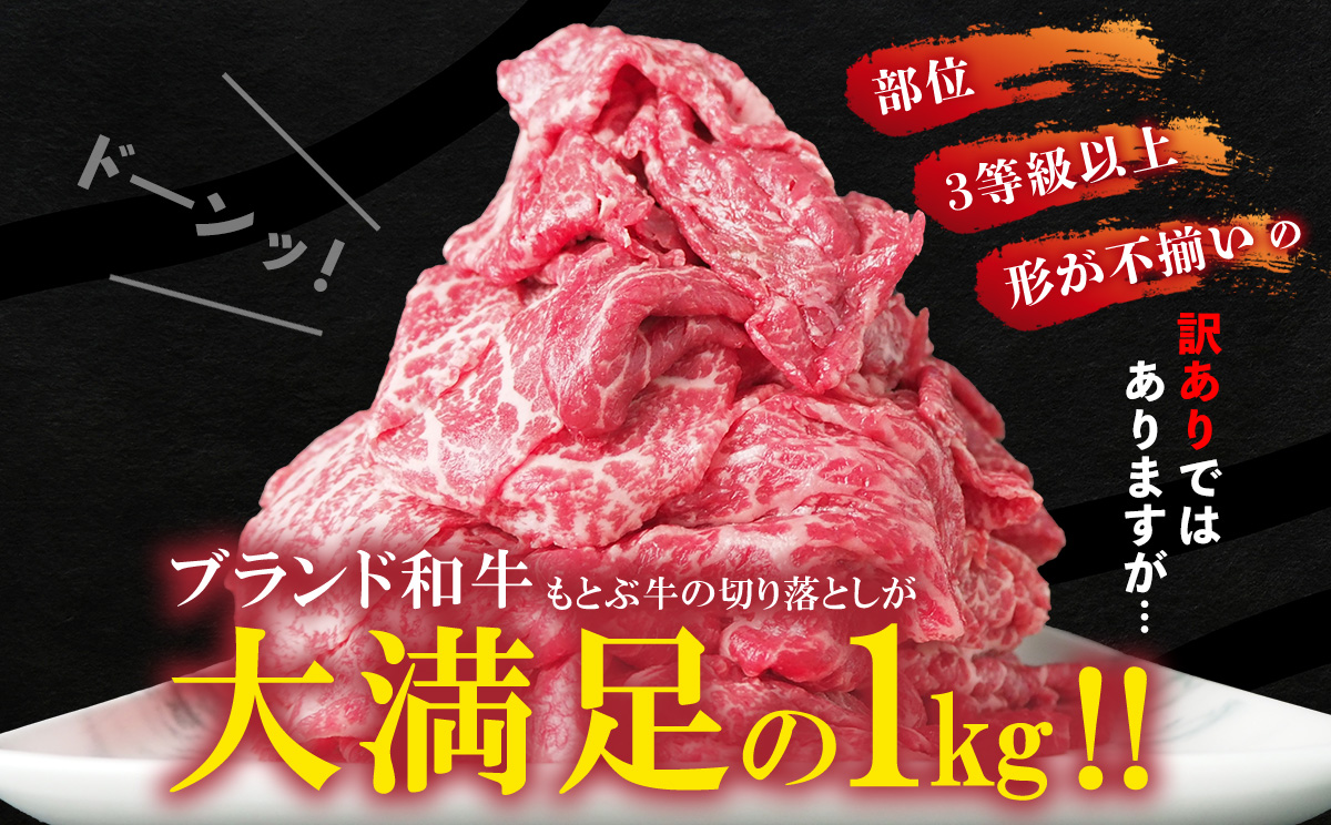 もとぶ牧場　訳あり　もとぶ牛切り落とし　1kg（500g×2P） 切落し すき焼き 煮込み カレー 沖縄 オススメ おすすめ 人気 ブランド 和牛 県産和牛 黒毛和牛 牛肉 牛 小分け 便利 わけあり ワケアリ グルメ 1000ｇ