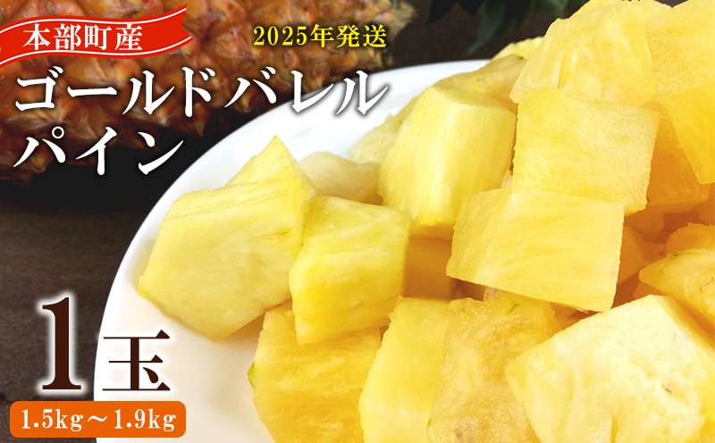 2025年【定期便：3回】お手頃！沖縄フルーツ定期便　マンゴー＆パイン＆パッション 果物 定期 フルーツ 訳あり わけあり 南国 果実 デザート おやつ 野菜 プレゼント 贈答 贈り物 ギフト 沖縄 本部町 美ら海 おすすめ 人気 ふるさと納税