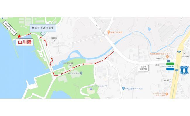 マンタやサメの飼育観察体験ツアー【大人2名様】