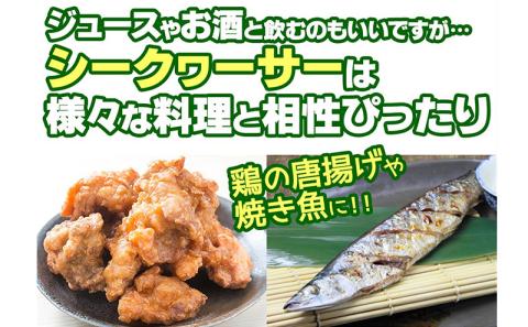 オキナワシークヮーサー100%ビター　2本セット 沖縄 おきなわ 本部町 ドリンク 飲料 シークワーサー 沖縄県産 ジュース おすすめ 人気 贈答 ギフト プレゼント ふるさと納税 美ら海 敬老の日 父の日 母の日 健康 予防