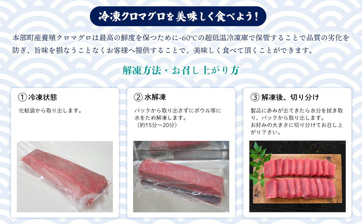 本部町産　本マグロづくし（大トロ・中トロ・赤身）約800g～1000g 鮪 本マグロ 送料無料 ギフト グルメ お祝い 贈答品 プレゼント 土産 お取り寄せ 柵 大トロ 上トロ 中トロ 赤身 刺身 さしみ 海鮮 海産物 美ら海