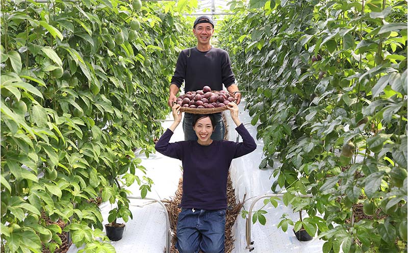 【2025年発送】山パ農園 パッションフルーツ 2箱（約2kg） 南国 沖縄 おきなわ 果実 フルーツ 青果 期間限定 先行予約 数量限定 旬 人気 おすすめ 贈答 プレゼント ギフト 贈り物 カクテル デザート 取り寄せ ジュース