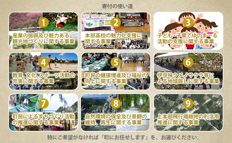 【返礼品なし】沖縄県本部町ふるさと応援寄附金 2000円 寄附のみの応援 寄附のみ 返礼品なし 返礼品無し　御礼品なし　御礼品無し
