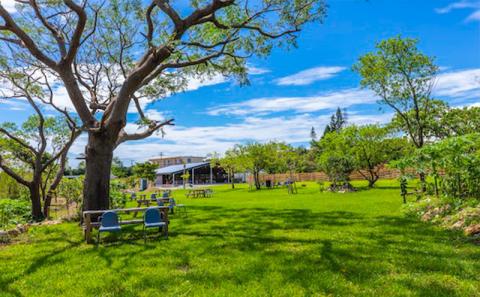 【ホルトノキ】沖縄の森の癒しリゾート宿泊補助券（１万５千円分：５千円券３枚）