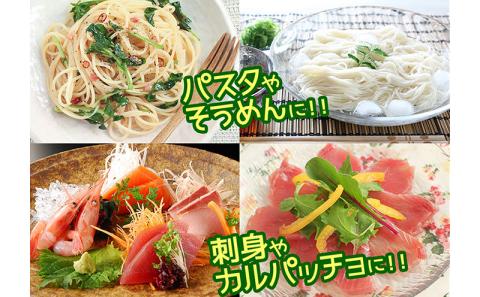 オキナワシークヮーサー100%ビター　2本セット 沖縄 おきなわ 本部町 ドリンク 飲料 シークワーサー 沖縄県産 ジュース おすすめ 人気 贈答 ギフト プレゼント ふるさと納税 美ら海 敬老の日 父の日 母の日 健康 予防