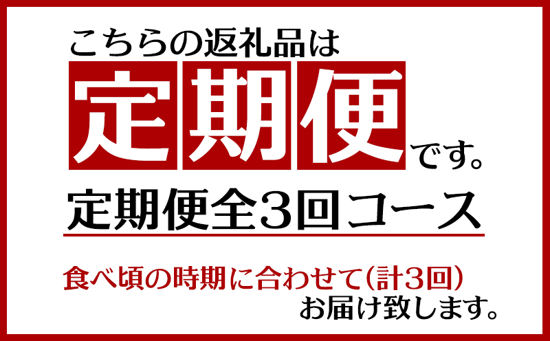 2025年【定期便：3回】お手頃！沖縄フルーツ定期便　マンゴー＆パイン＆パッション 果物 定期 フルーツ 訳あり わけあり 南国 果実 デザート おやつ 野菜 プレゼント 贈答 贈り物 ギフト 沖縄 本部町 美ら海 おすすめ 人気 ふるさと納税
