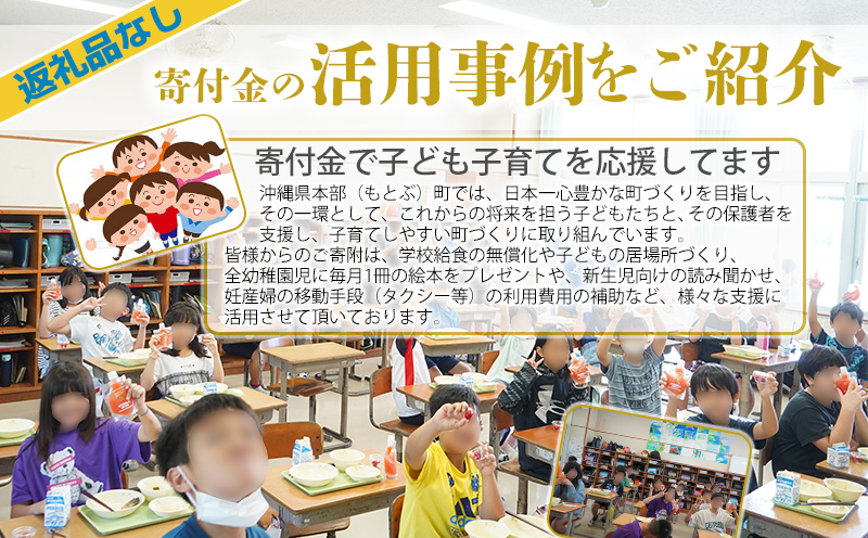 【返礼品なし】沖縄県本部町ふるさと応援寄附金 1000円 寄附のみの応援 寄附のみ 返礼品なし 返礼品無し　御礼品なし　御礼品無し