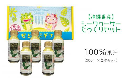 シークヮーサー　じっくりセット 沖縄 おきなわ 本部町 ドリンク 飲料 シークワーサー 沖縄県産 ジュース おすすめ 人気 贈答 ギフト プレゼント ふるさと納税 美ら海 敬老の日 父の日 母の日 健康 予防