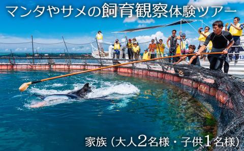 マンタやサメの飼育観察体験ツアー大人2名　子供1名