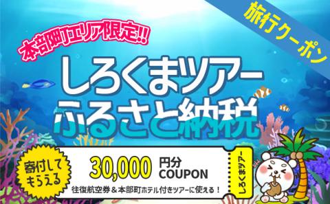 【本部町】しろくまツアーで利用可能なWEB旅行クーポン（3万円分）