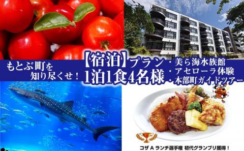 もとぶ町を知り尽くせ！【宿泊】プラン　1泊1食4名（美ら海水族館・アセローラ体験・本部町ガイドツアー）