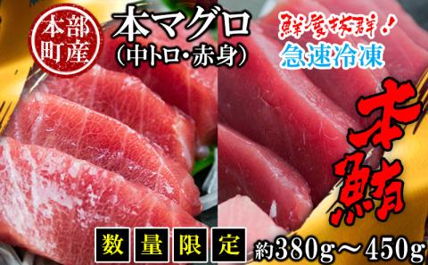 本部町産　本マグロ（赤身・中トロ）セット 　約380g～450g 鮪 本マグロ 送料無料 ギフト グルメ お祝い 贈答品 プレゼント 土産 お取り寄せ 柵 大トロ 上トロ 中トロ 赤身 刺身 さしみ 海鮮 海産物 美ら海