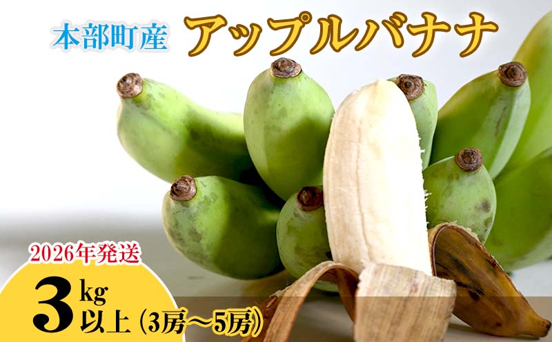 【2026年発送】本部町産アップルバナナ　3kg以上 南国 沖縄 おきなわ 果実 フルーツ 青果 期間限定 先行予約 数量限定 旬 人気 おすすめ 贈答 プレゼント ギフト 贈り物 カクテル デザート 取り寄せ 高級