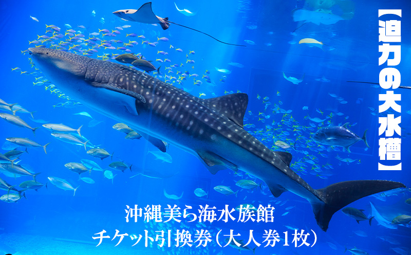 【迫力の大水槽】沖縄美ら海水族館　チケット引換券＜大人券1枚＞ 本部町 海洋博 水族館 カップル ちゅらうみ チケット 引換券 ジンベイザメ マンタ 水槽 魚 海水 海 人気 オススメ ギフト プレゼント 贈答 贈り物 プロポーズ