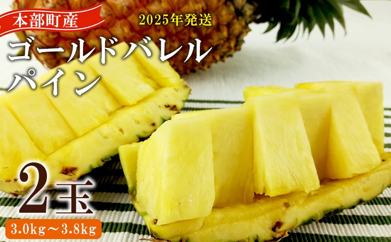 【2025年発送】　先行予約　かりゆしゴールド　2玉　3.0kg～3.8kg パイナップル ゴールドバレル 甘い ジューシー デザート 高級 フルーツ 家族 子供 果物 取り寄せ 旬 おすすめ ギフト 人気 家庭用 贈答用 母の日 スナックパイン 期間限定 沖縄